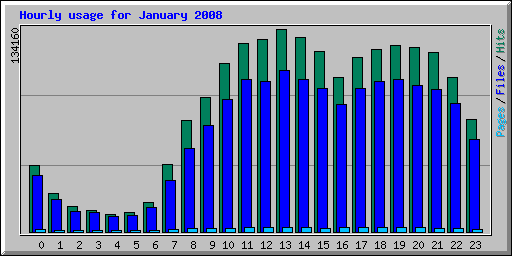 Hourly usage for January 2008